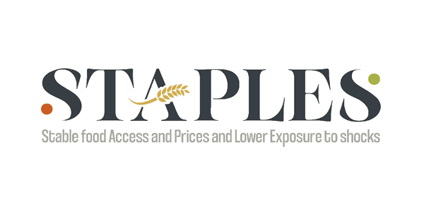 Logo STAPLES EMEA