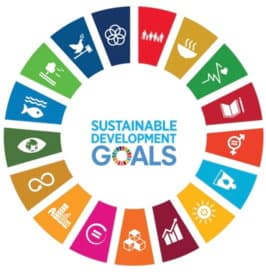 SDGs mappare gli indicatori per l’Agenda Sostenibile